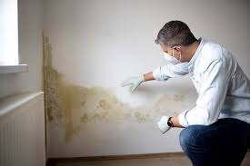 Best Mold Remediation for Healthcare Facilities  in Parkland, WA